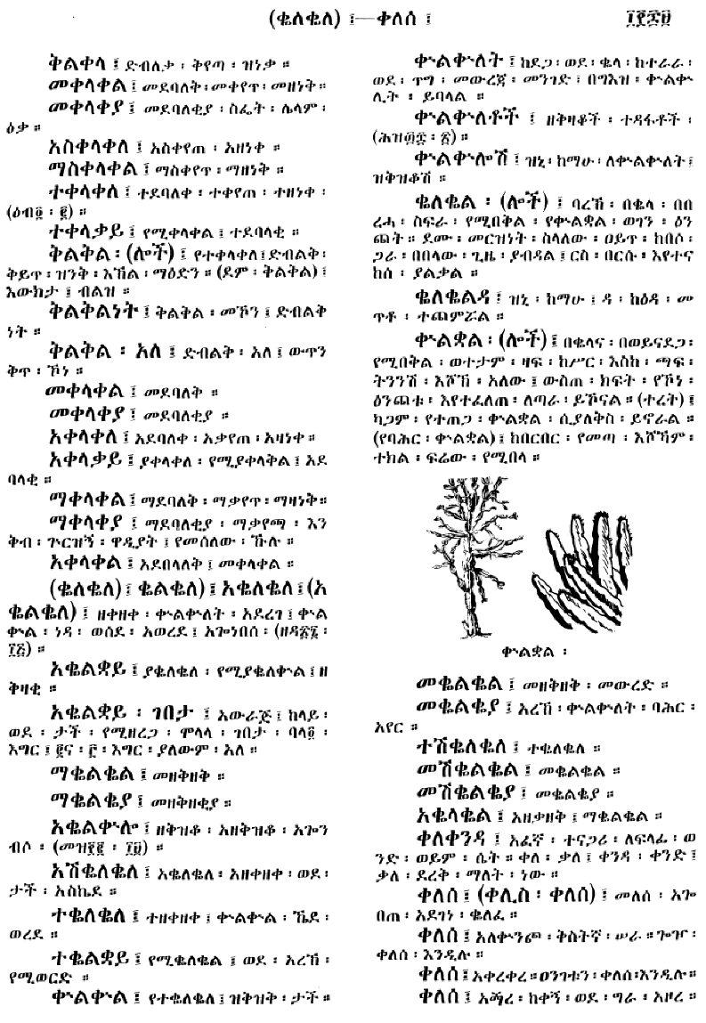 n_amargnaMezgebeQalat_1069