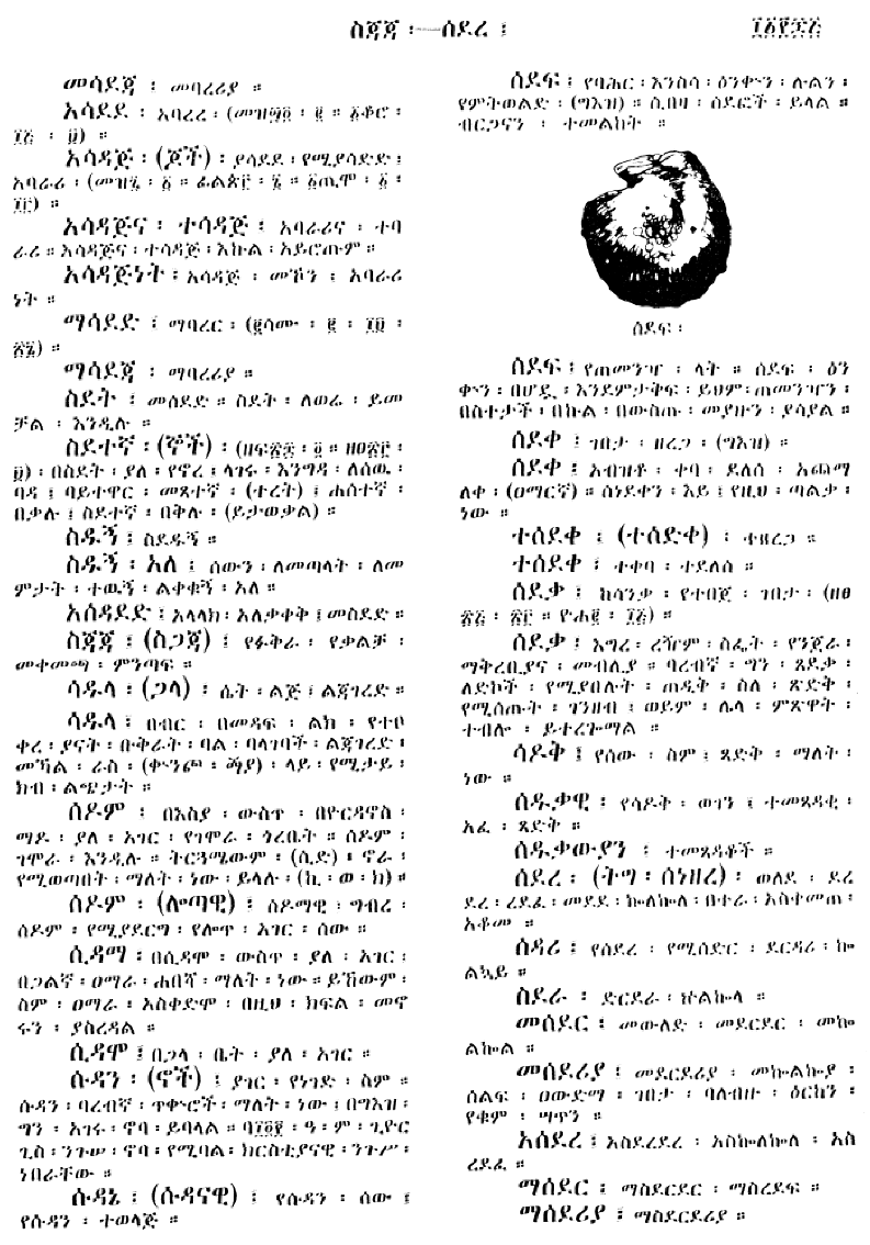 n_amargnaMezgebeQalat_1165