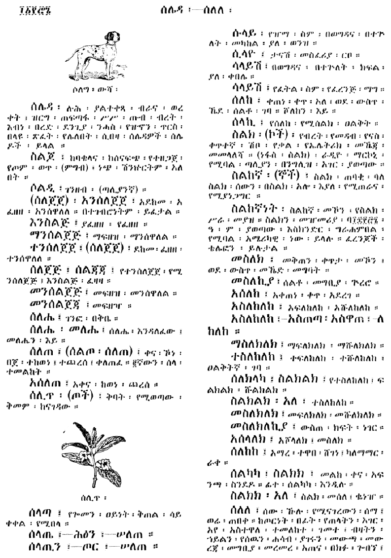 n_amargnaMezgebeQalat_1176