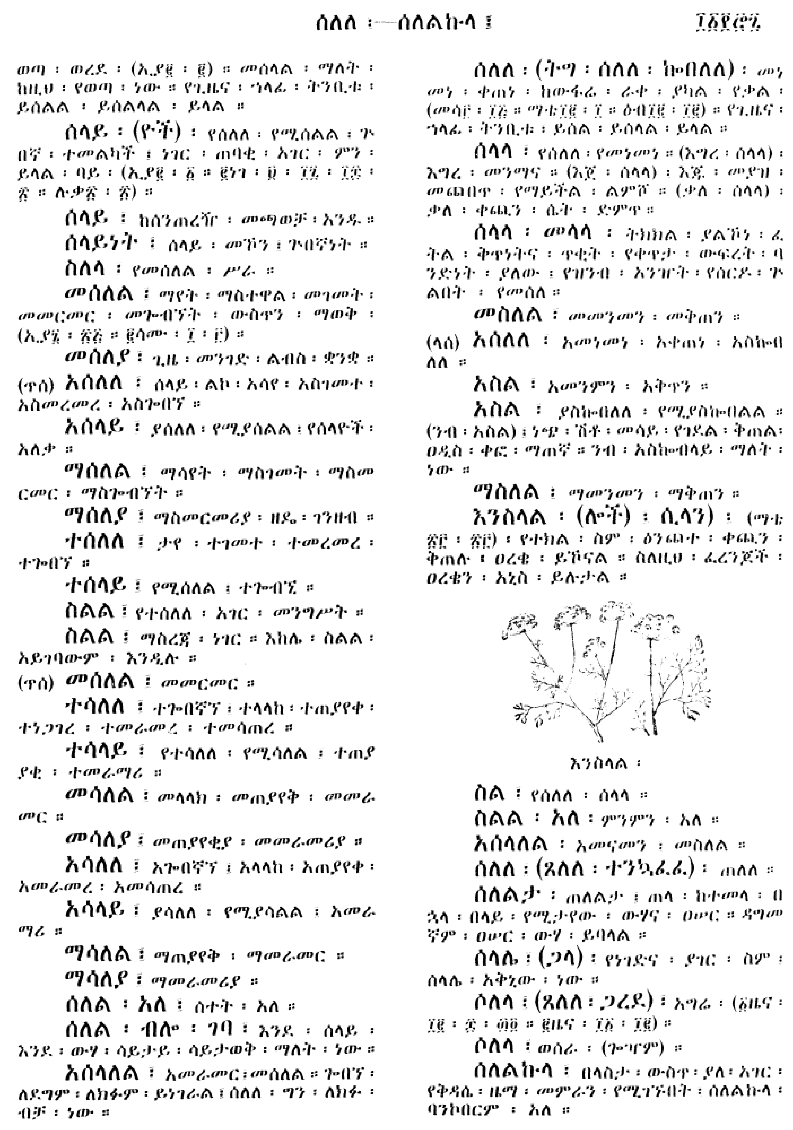 n_amargnaMezgebeQalat_1177