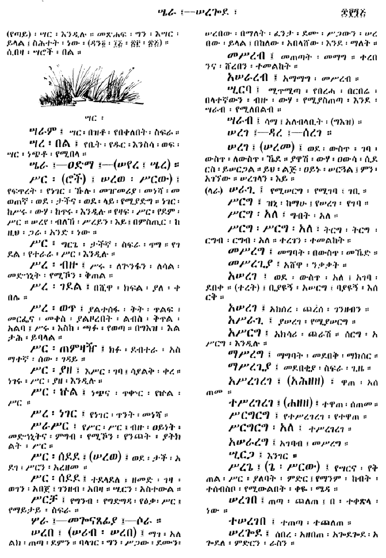 n_amargnaMezgebeQalat_895