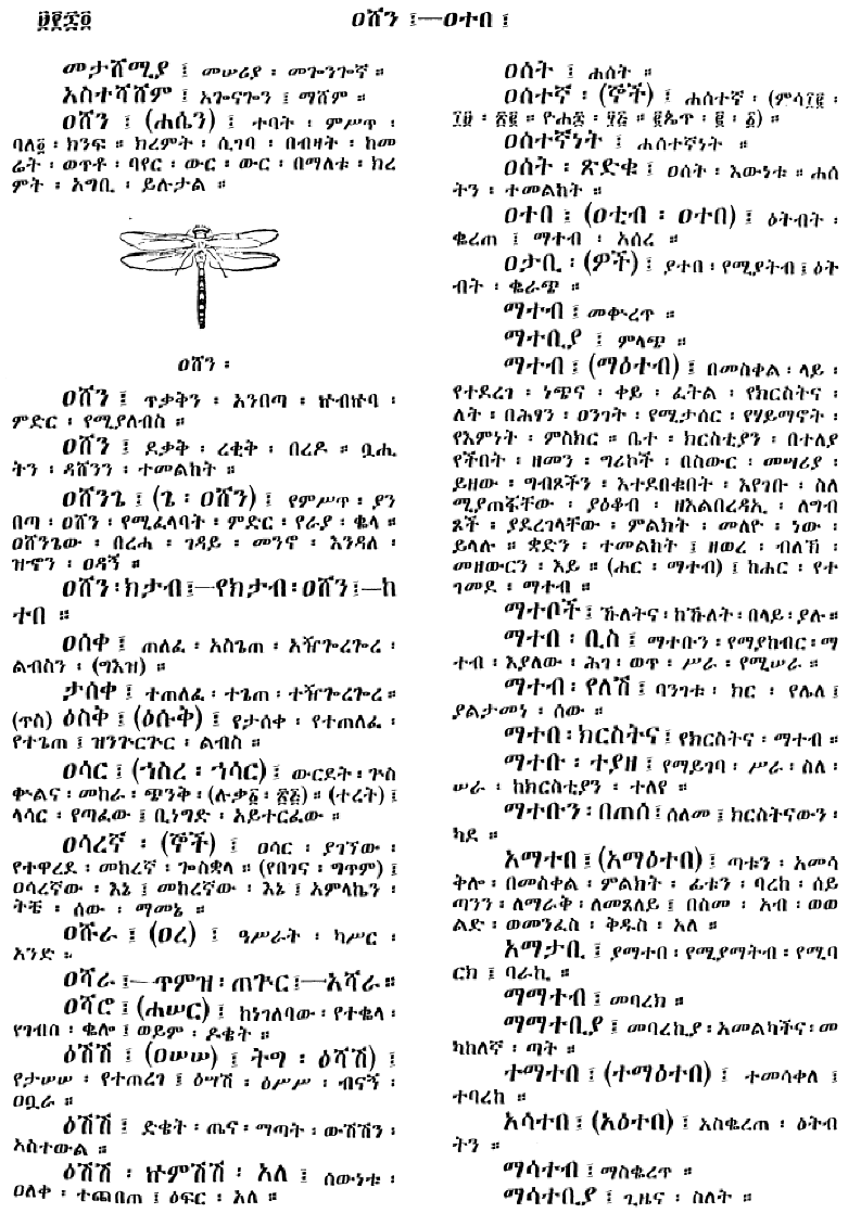 n_amargnaMezgebeQalat_964