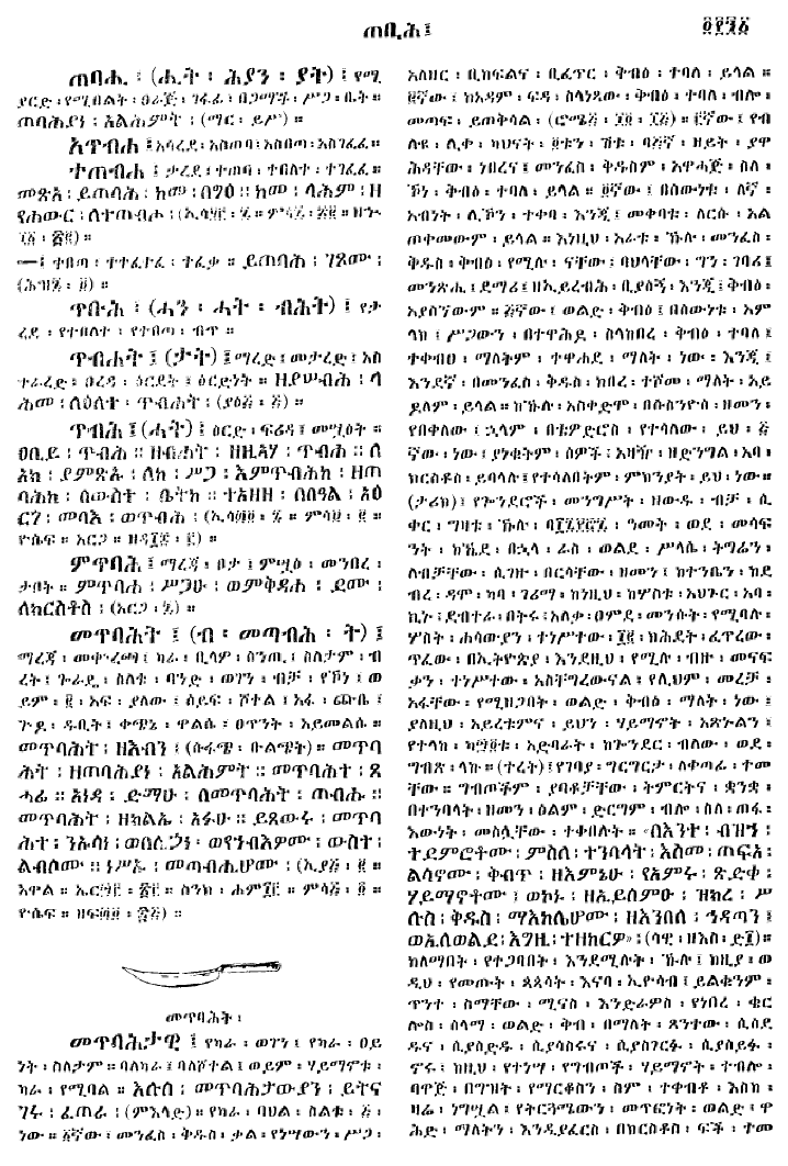n_gzMezgebeQalat_491