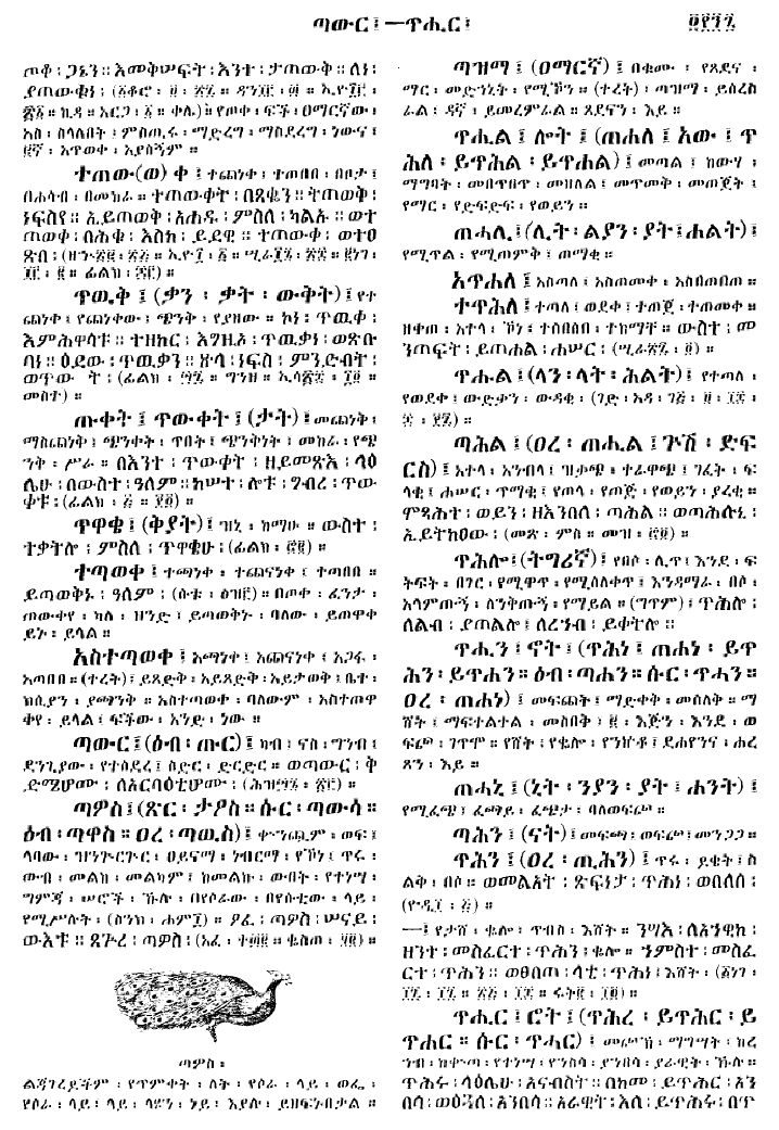 n_gzMezgebeQalat_497