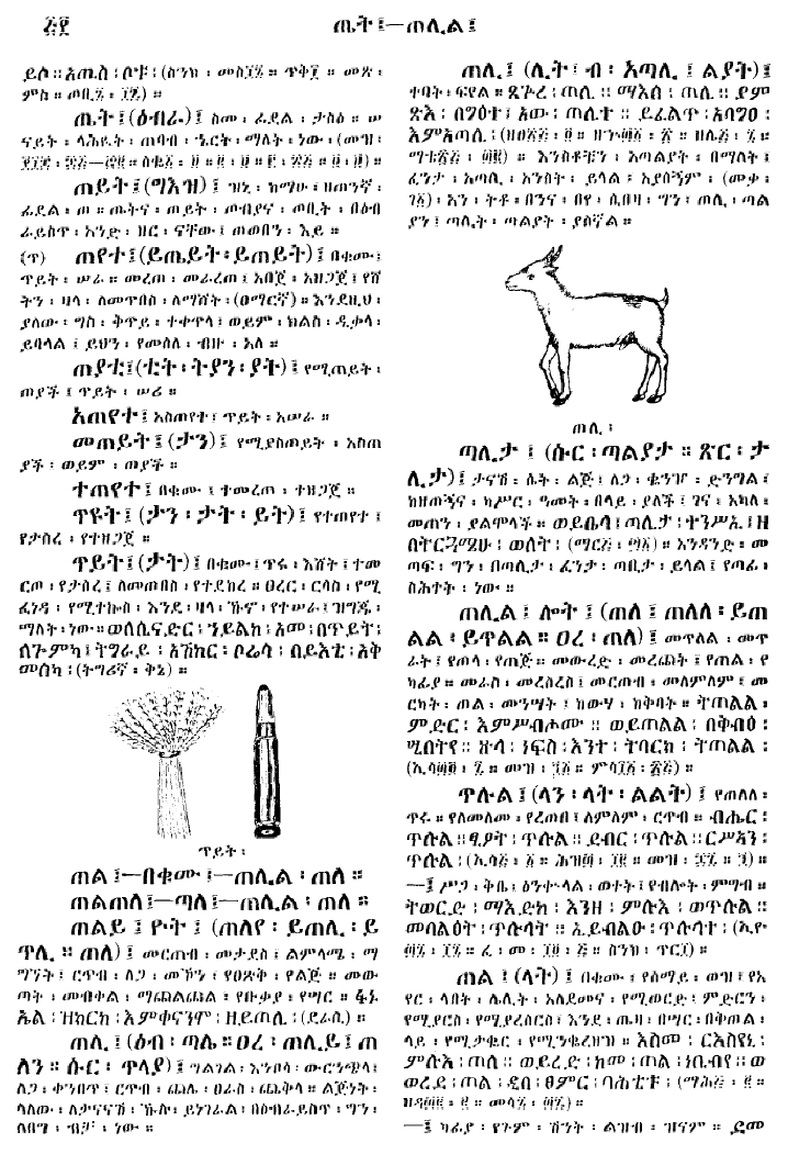 n_gzMezgebeQalat_500