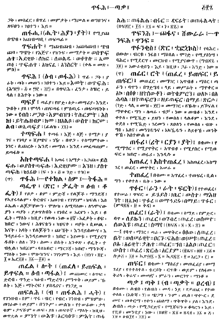 n_gzMezgebeQalat_507
