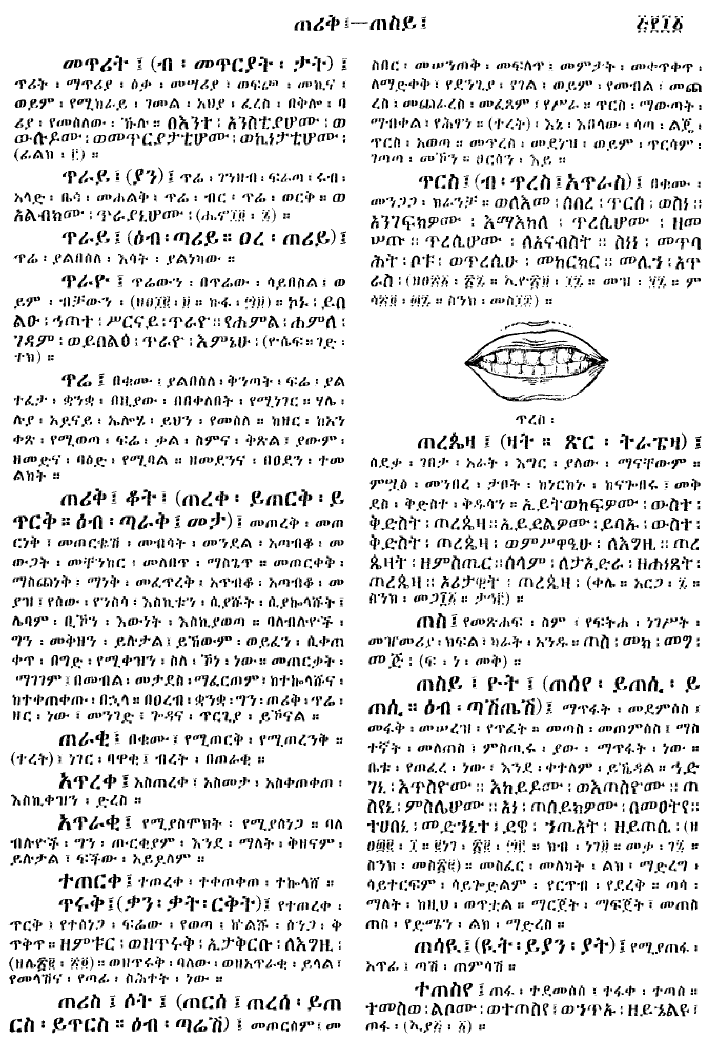n_gzMezgebeQalat_511