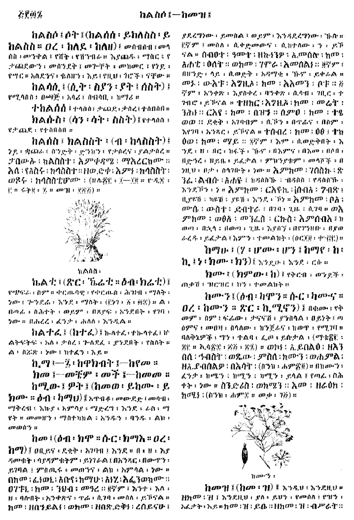 n_gzMezgebeQalat_536