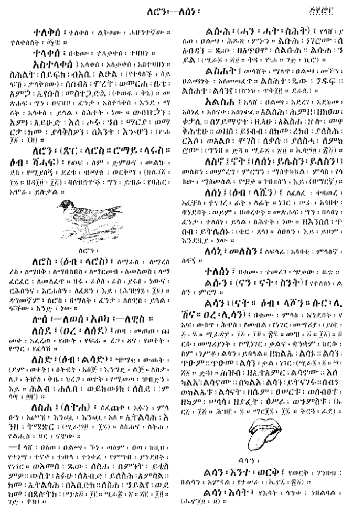 n_gzMezgebeQalat_573