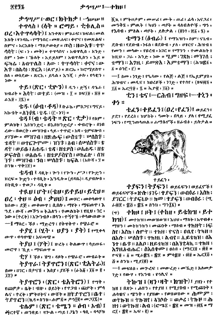 n_gzMezgebeQalat_896