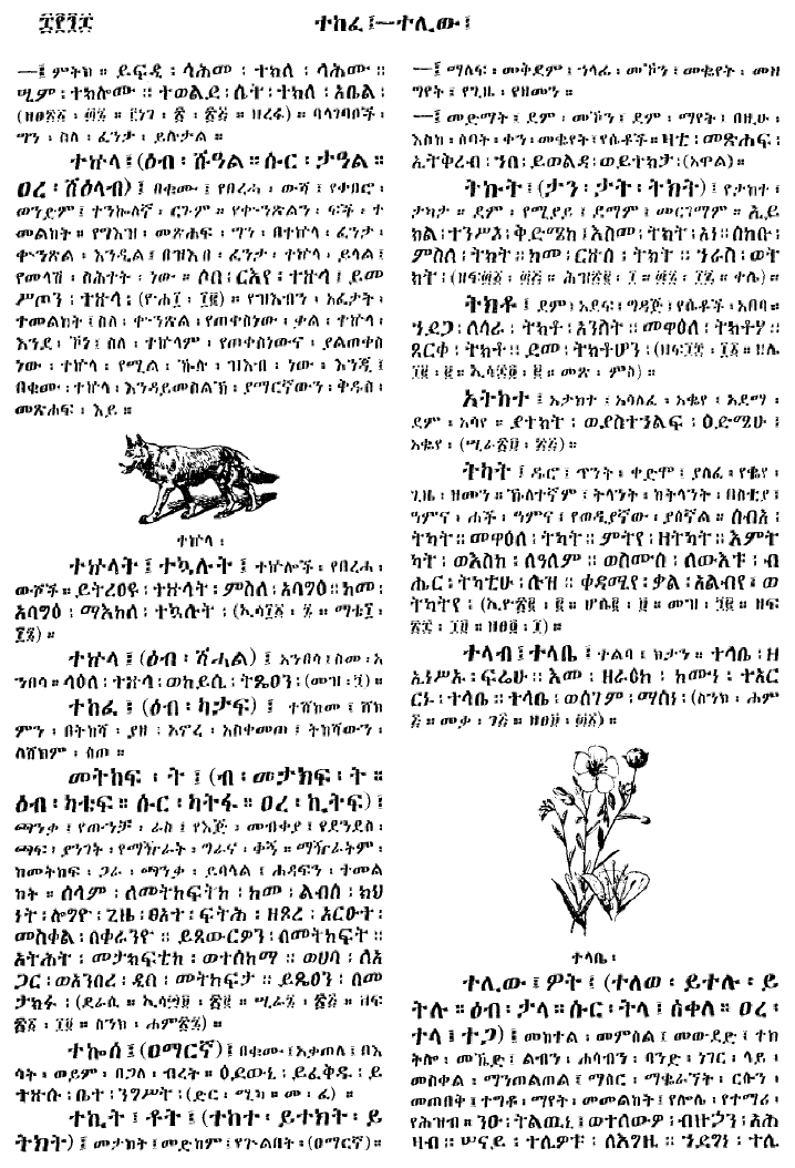 n_gzMezgebeQalat_898